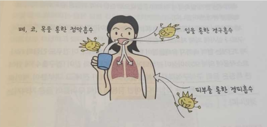 피부 방어벽과 계면활성제
