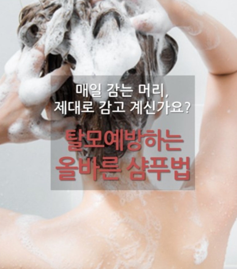올바른 샴푸법과 두피 건강